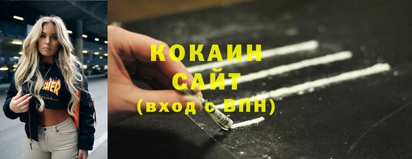 гидра Новозыбков