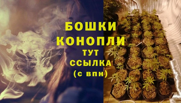 гидра Новозыбков