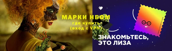 спайс Новодвинск