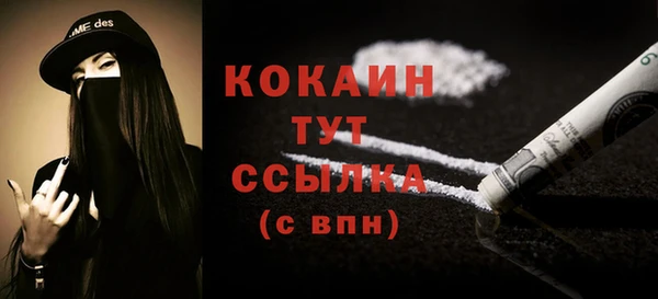 гидра Новозыбков