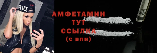 гидра Новозыбков