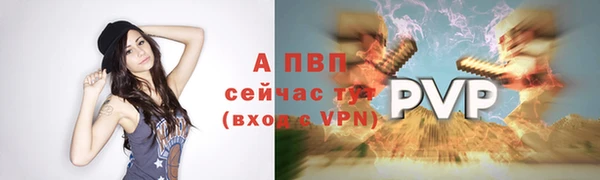 прущие грибы Пролетарск