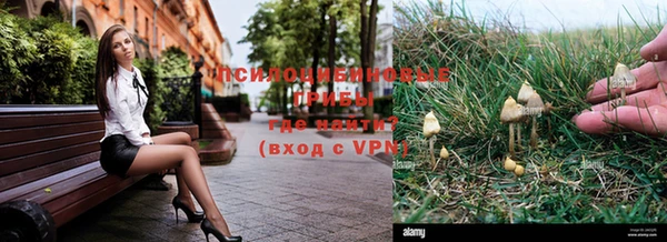 спайс Новодвинск