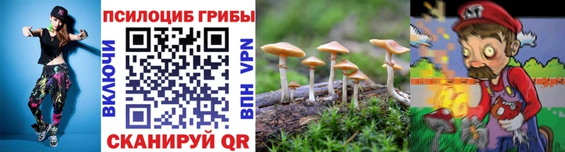 Галлюциногенные грибы Cubensis  закладка  Рыбное 